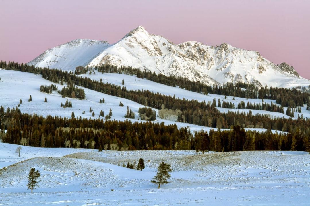 Snow-covered mountain ridge with a tree line beneath open sky.